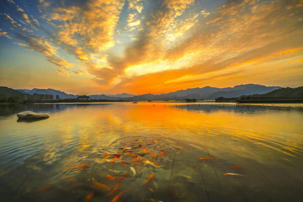 跟着镜头品诗词 | 霞光绚烂